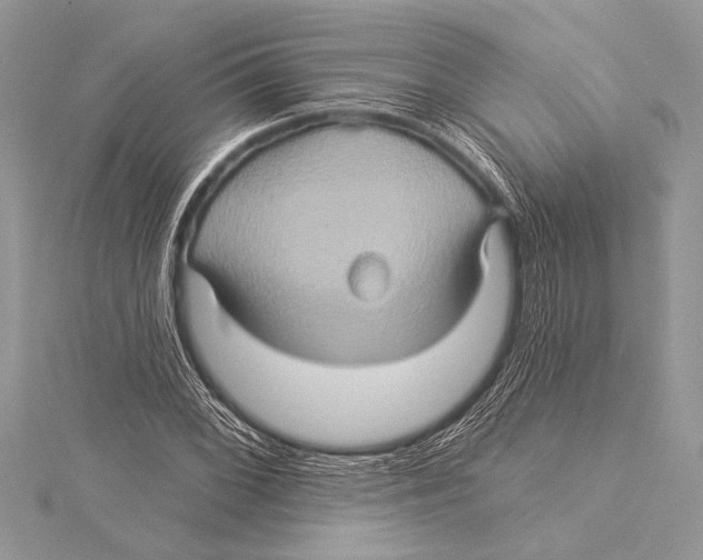 X0000115331068200911301523