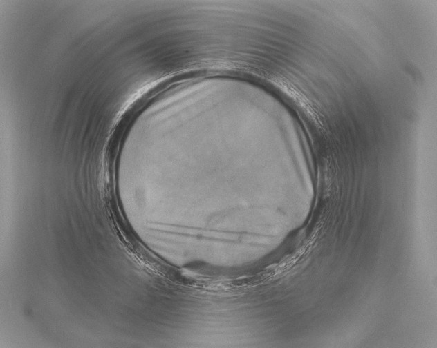 X0000115331070200911301523