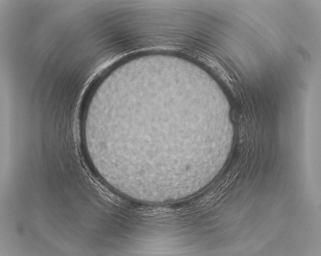 X0000115331072200911301523