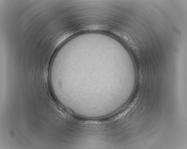 X0000115331073200911301523