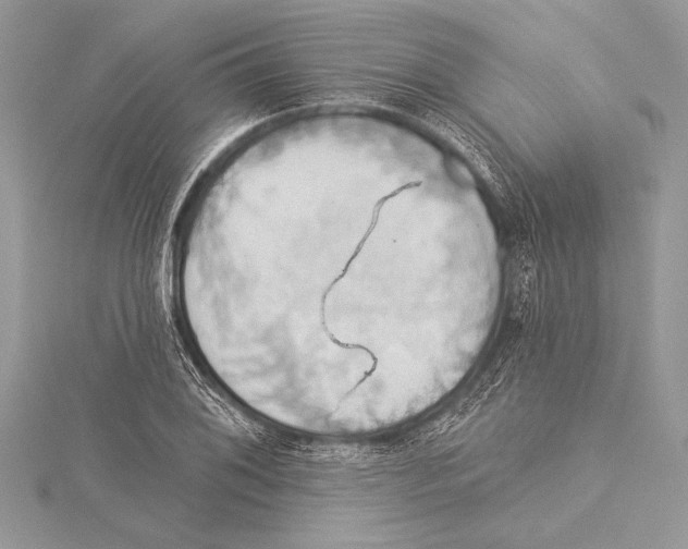 X0000115331076200911301523