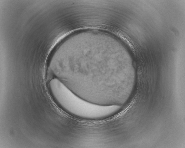 X0000115331077200911301523