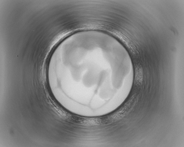 X0000115331078200911301523