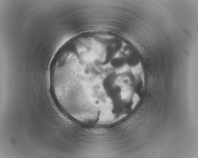 X0000115331079200911301523