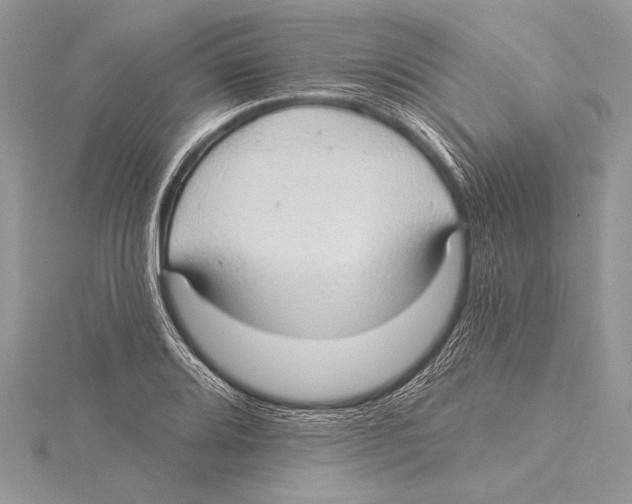 X0000115331080200911301523