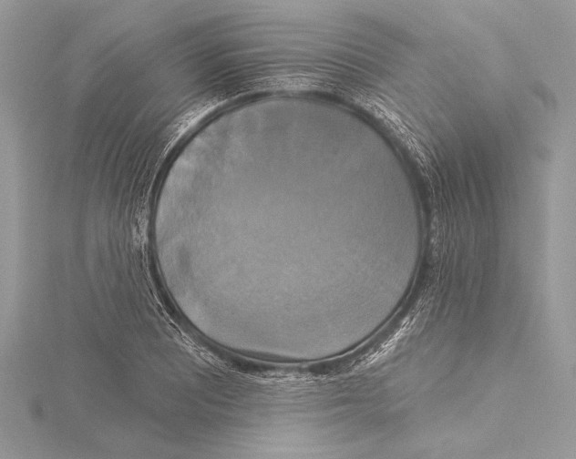 X0000115331081200911301523