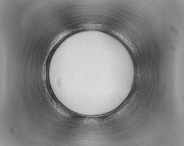 X0000115331082200911301523