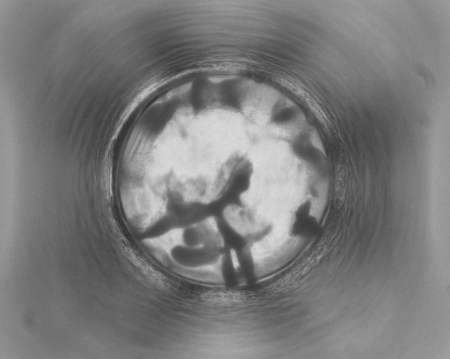 X0000115331083200911301523