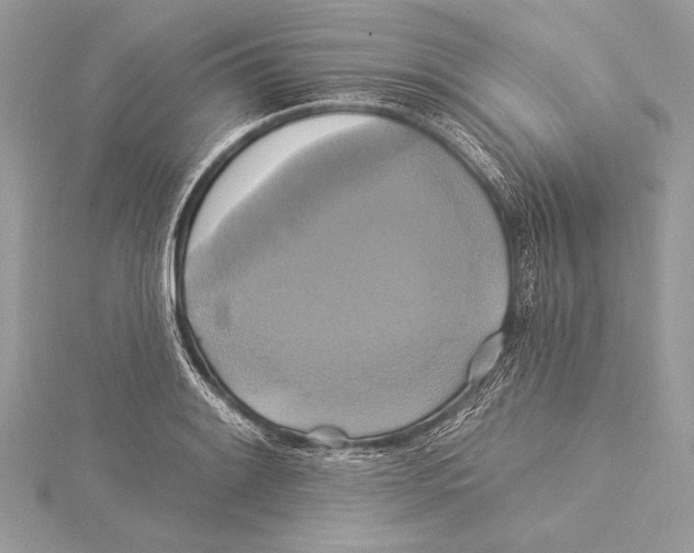 X0000115331084200911301523