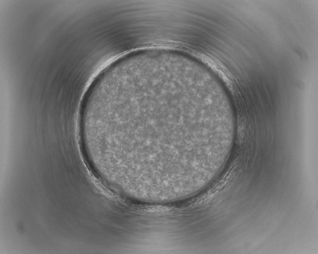 X0000115331085200911301523