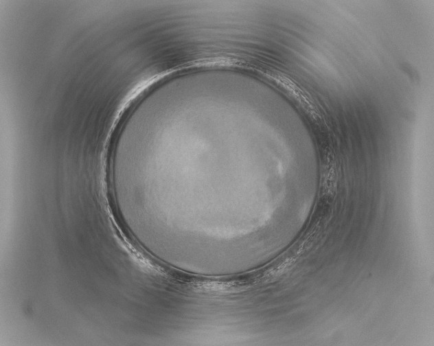 X0000115331086200911301523