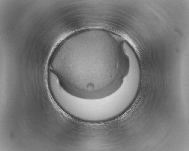 X0000115331088200911301523