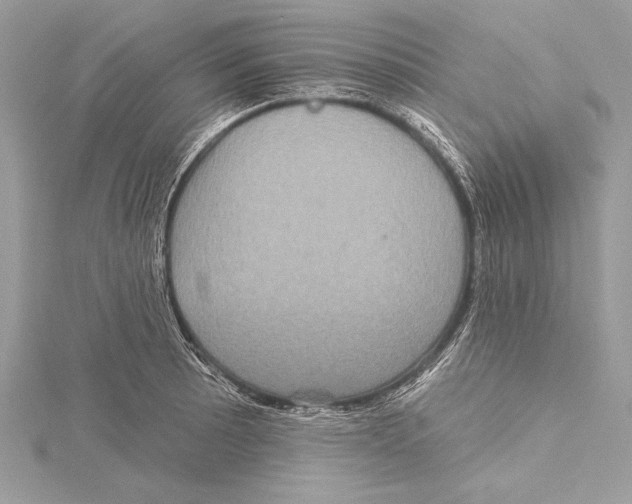 X0000115331089200911301522