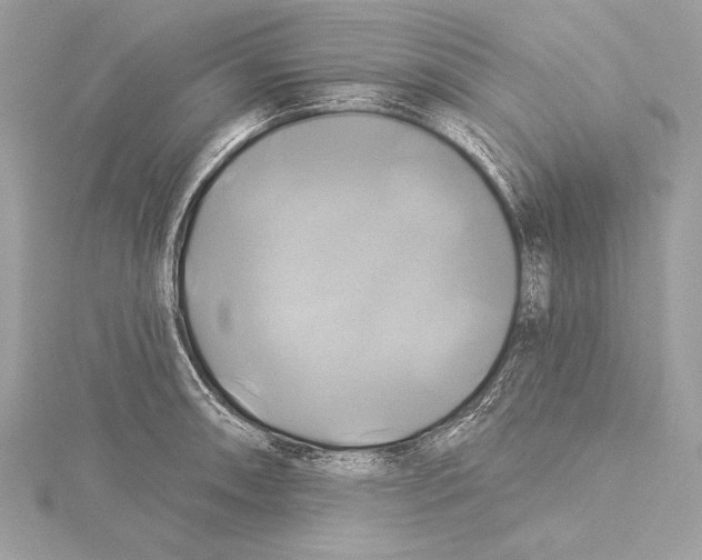 X0000115331090200911301522