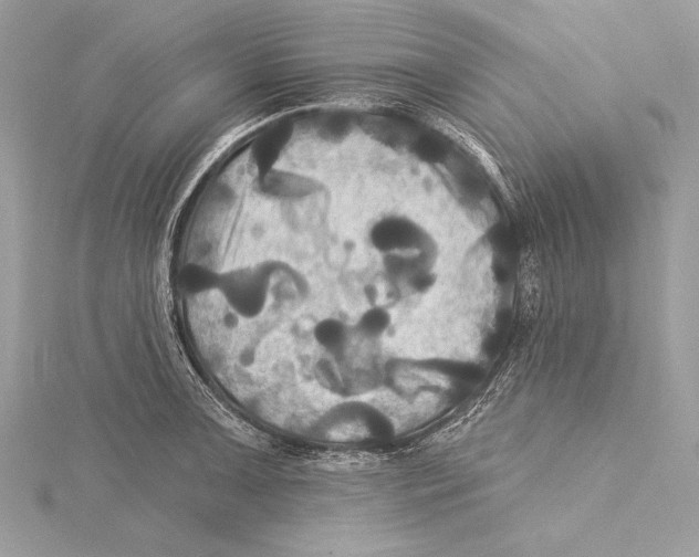 X0000115331091200911301522