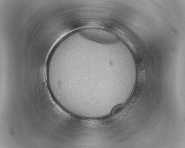 X0000115331092200911301522