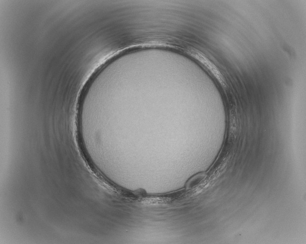 X0000115331093200911301522