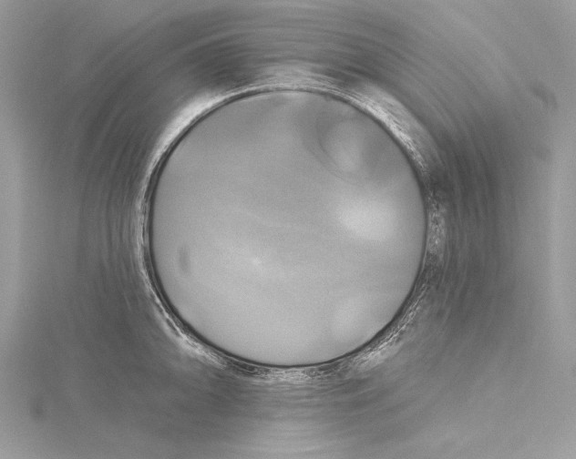 X0000115331094200911301522