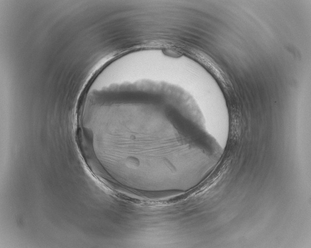 X0000115331095200911301522