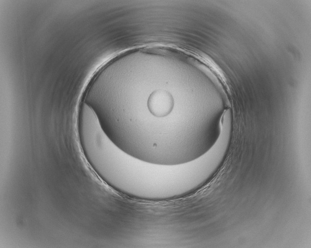 X0000115331096200911301522