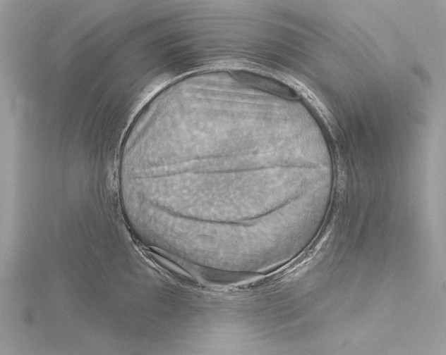 X0000115331097200911301522