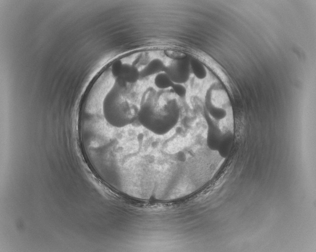 X0000115331099200911301522