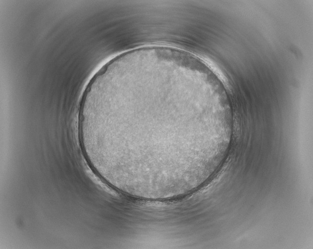 X0000115331100200911301522