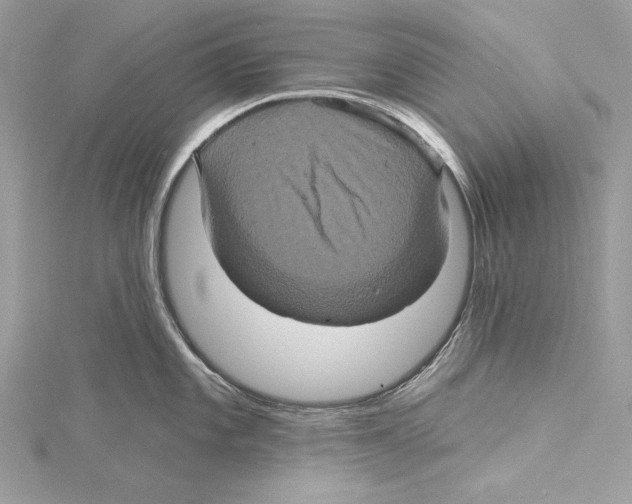 X0000115331101200911301522