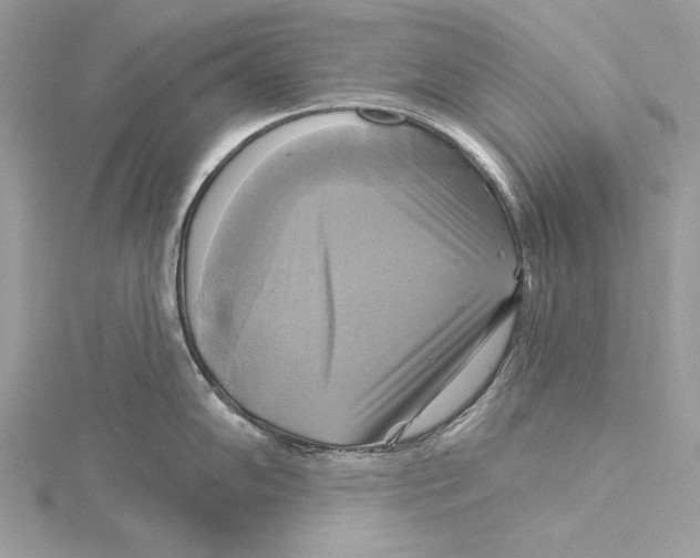 X0000115331102200911301522