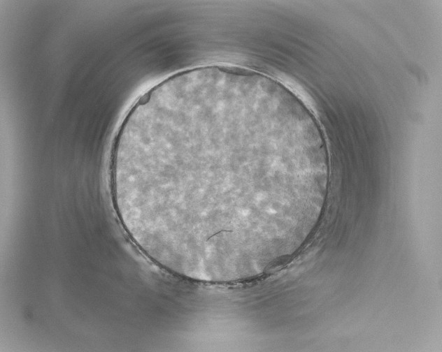 X0000115331104200911301522