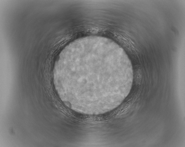 X0000115331105200911301522