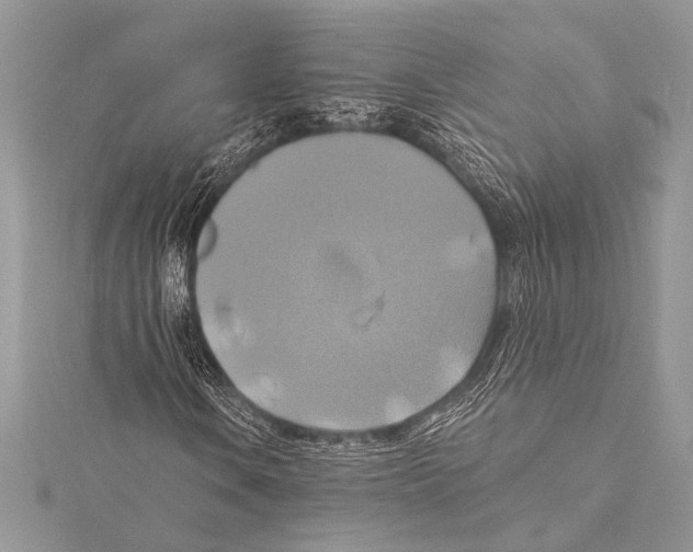 X0000115331106200911301522