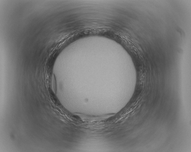 X0000115331109200911301522