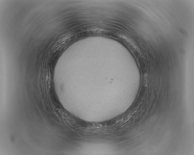 X0000115331111200911301522