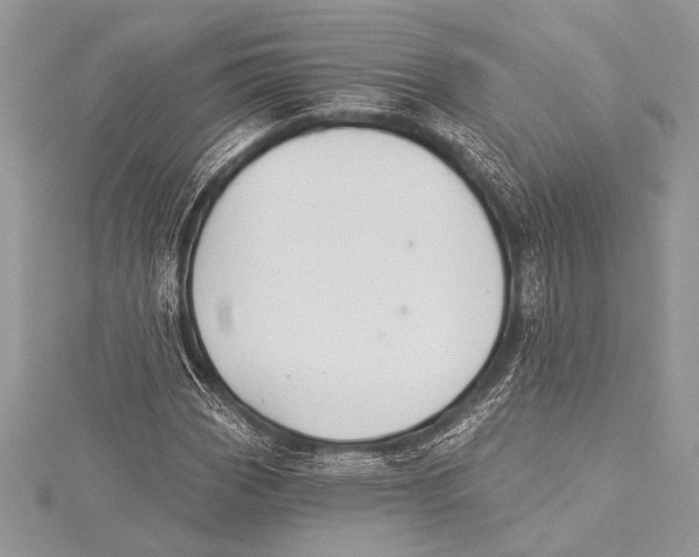 X0000115331113200911301522