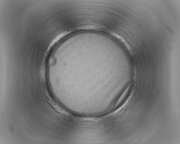 X0000115331114200911301522