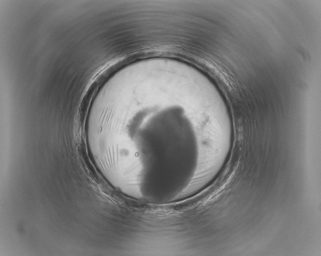 X0000115331117200911301522