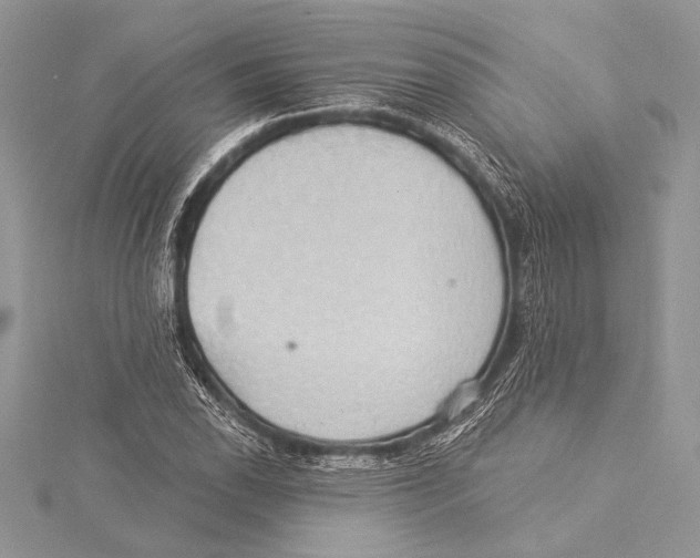 X0000115331118200911301522