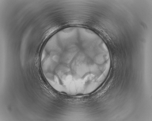 X0000115331121200911301522