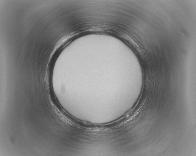 X0000115331122200911301522