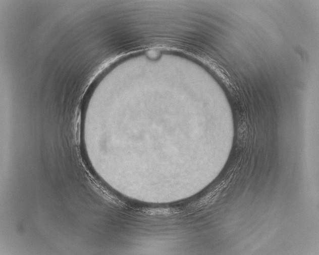 X0000115331126200911301522