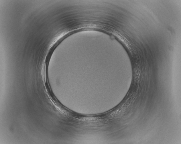 X0000115331127200911301522