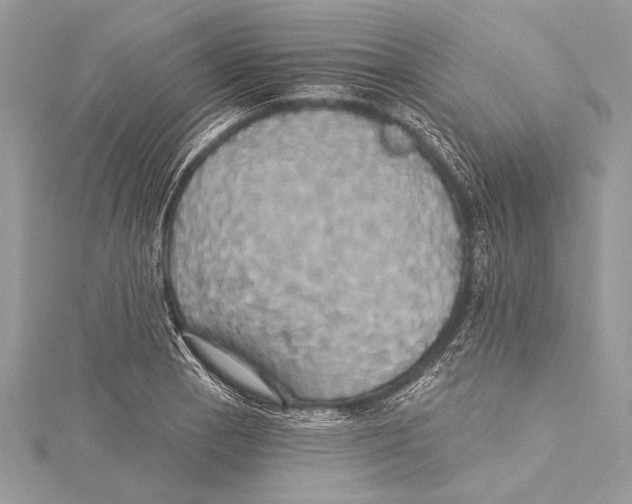 X0000115331129200911301522