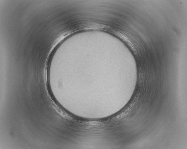 X0000115331130200911301522