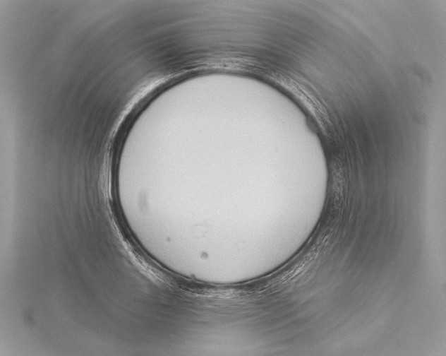 X0000115331131200911301522