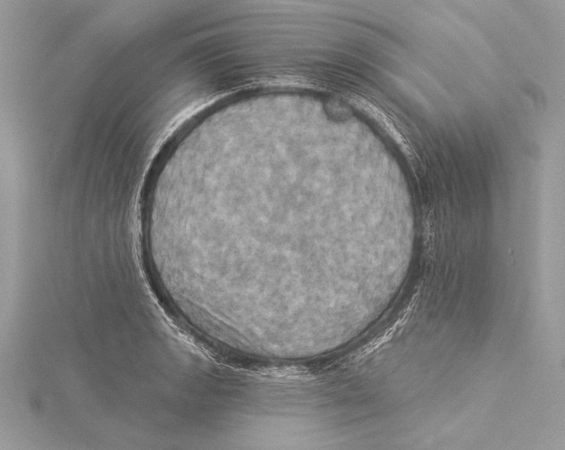 X0000115331133200911301522