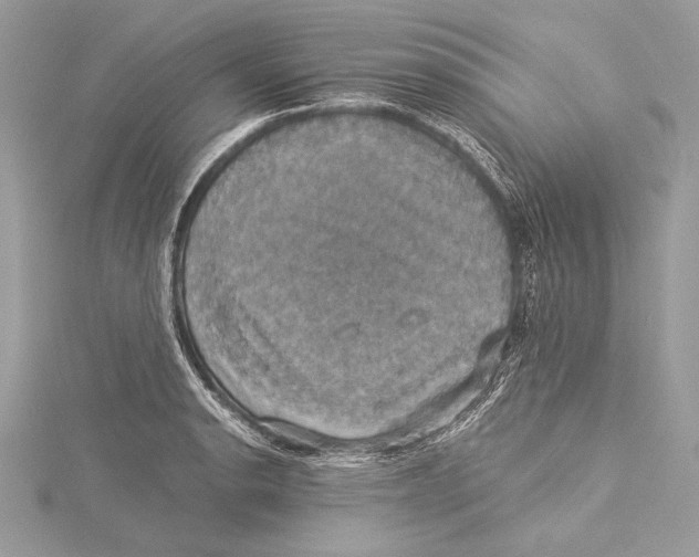 X0000115331134200911301522