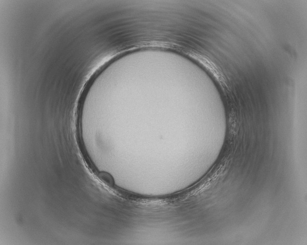 X0000115331135200911301522