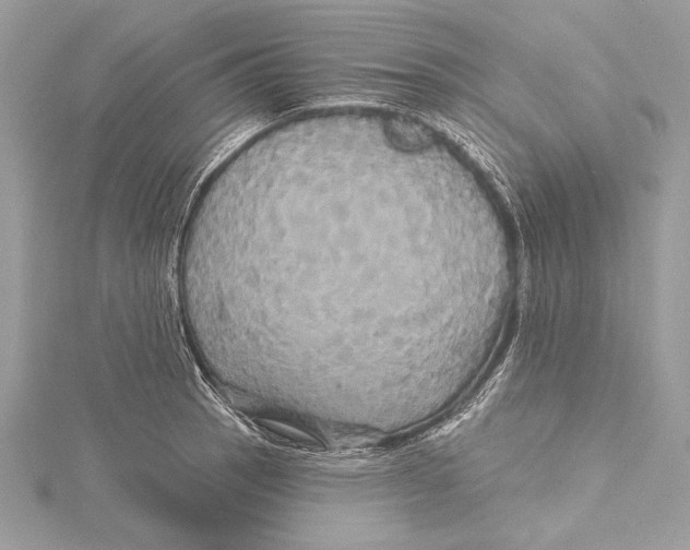 X0000115331137200911301522