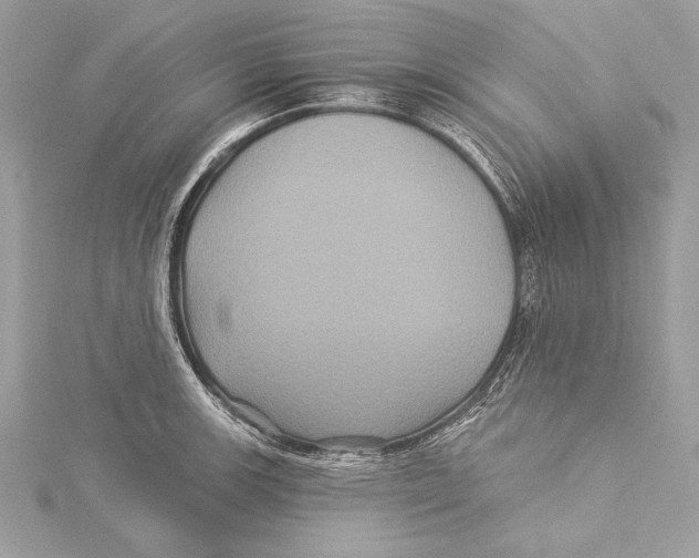 X0000115331139200911301522